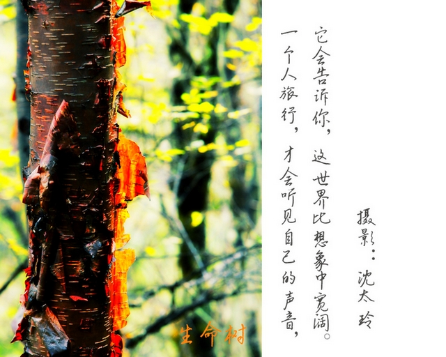 一