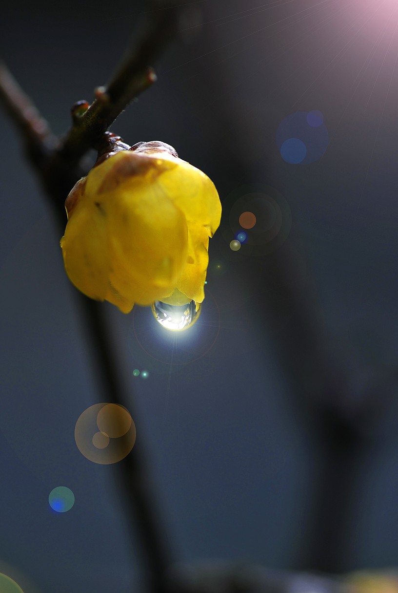 照片 005.jpg