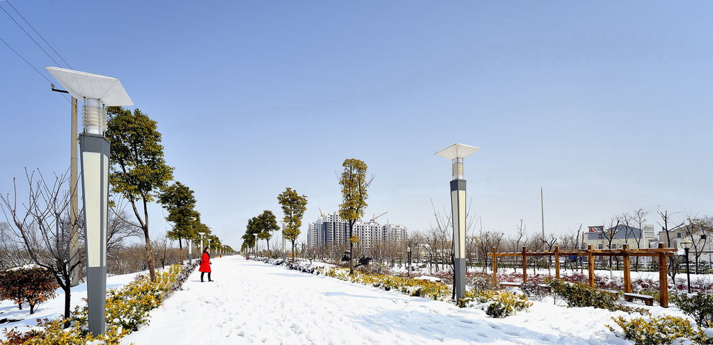 满城春雪一点红_LMI6501.jpg