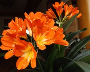 ����������