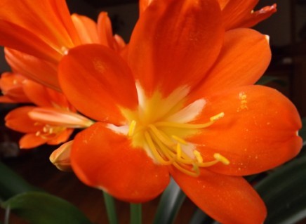 ΢Ц�ľ�����