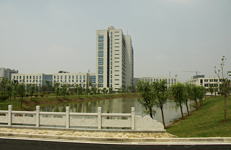 IMG_4875_.JPG