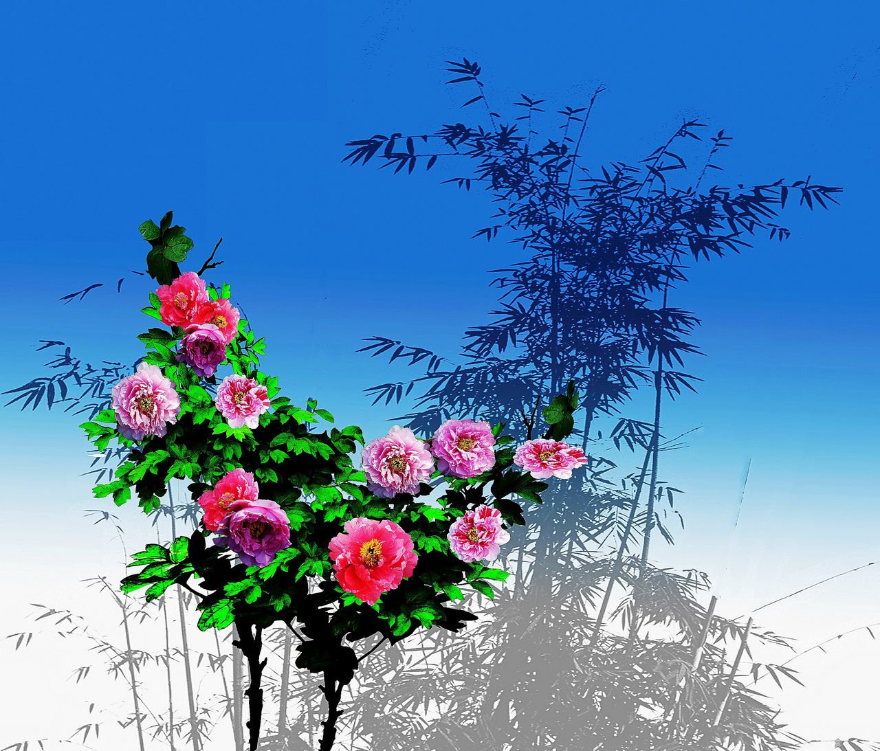 ���� 1_conew1.jpg