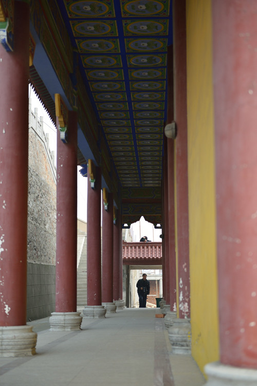 D8B_2595.jpg