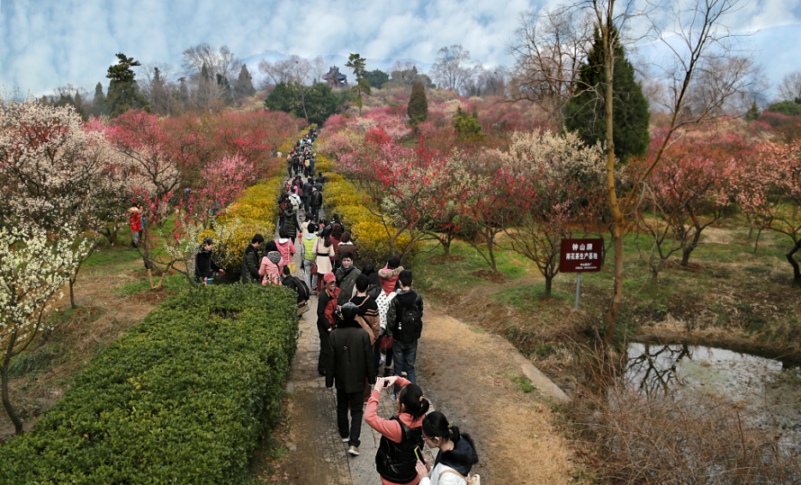 ���� IMG_0746.JPG