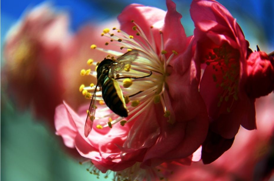 �������٣����︴��������������