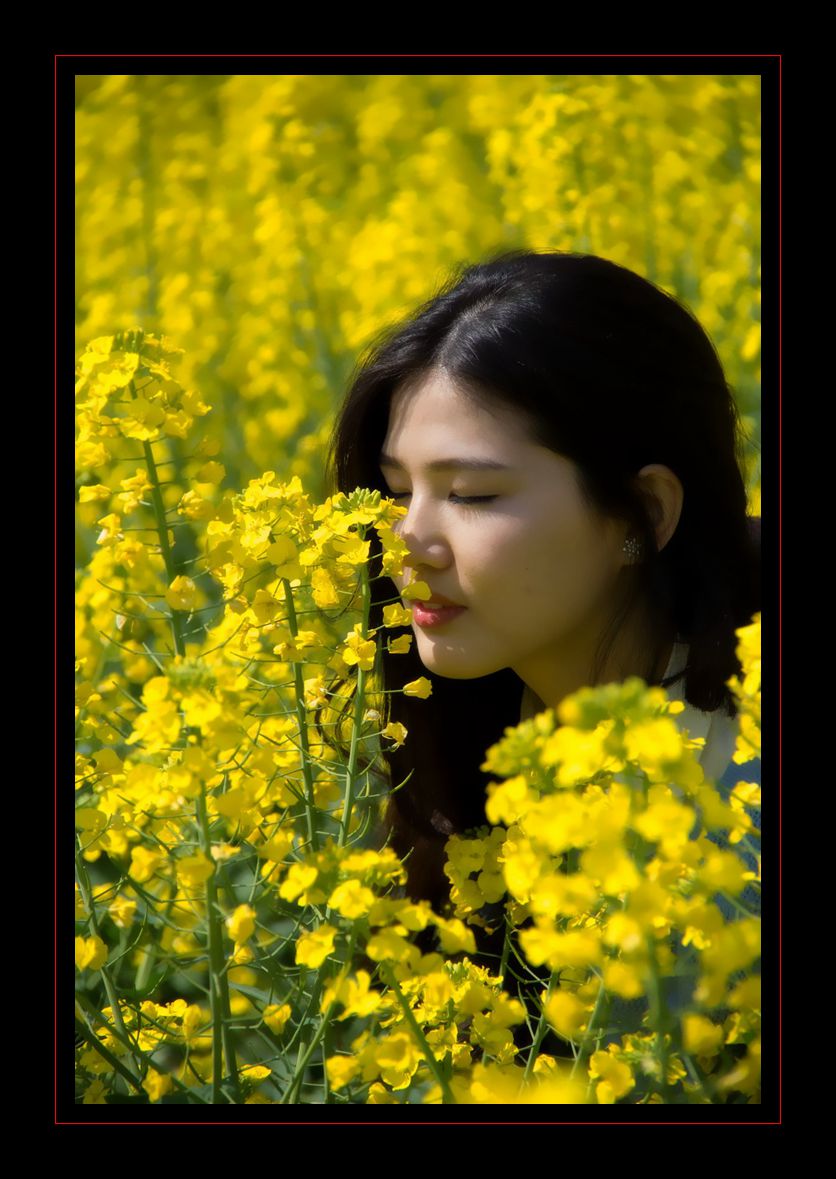 ���ڴ���