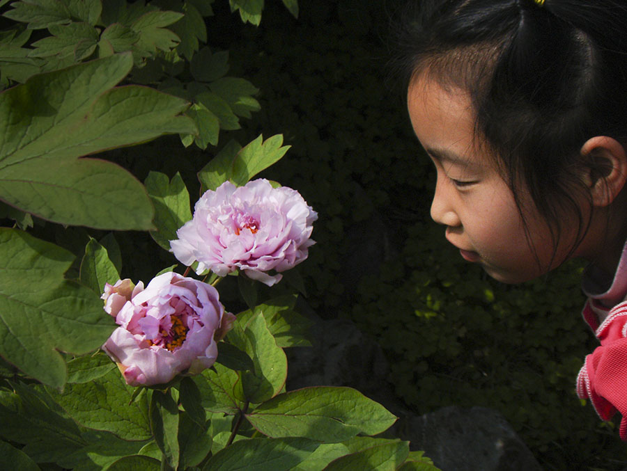 DSC06179 ����.jpg