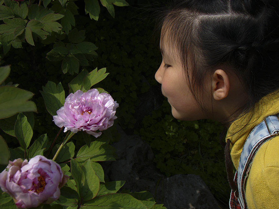 DSC06180 ����.jpg