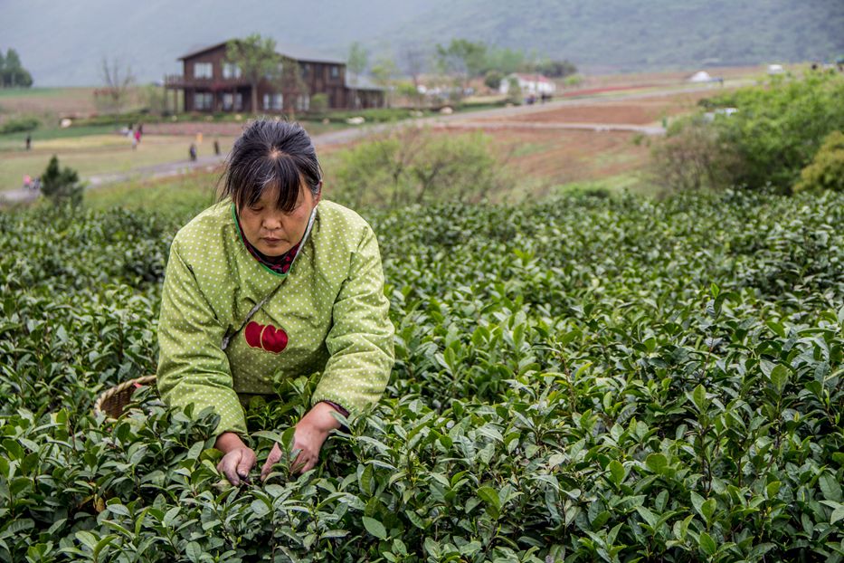 �豸�ͺţ�EOS 60D �����ͷ��EF-S18-135mm f/3.5-5.6 IS �����ٶȣ�1/98s ��Ȧֵ��F5.0 ���ࣺ52mm �й�� ...