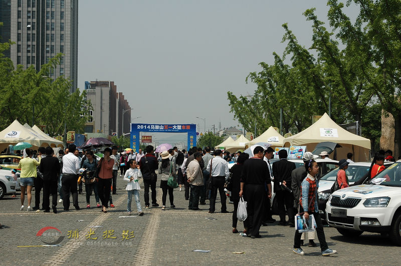 DSC_9250.jpg