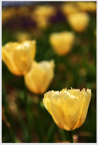 QQͼƬ20140505155737.jpg