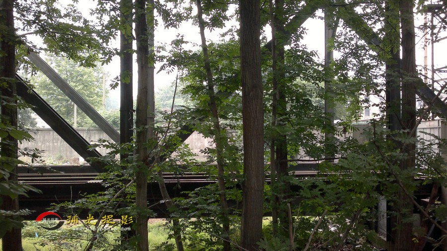 20140615349.jpg