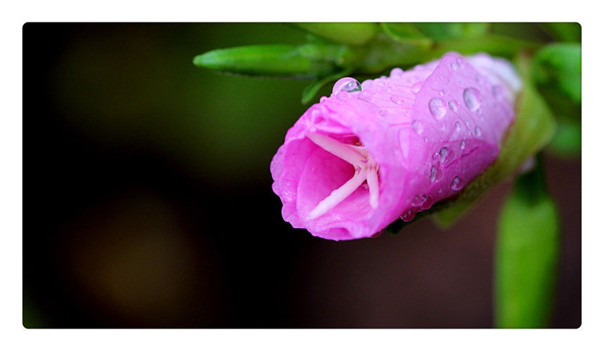ҹ_0181_.jpg