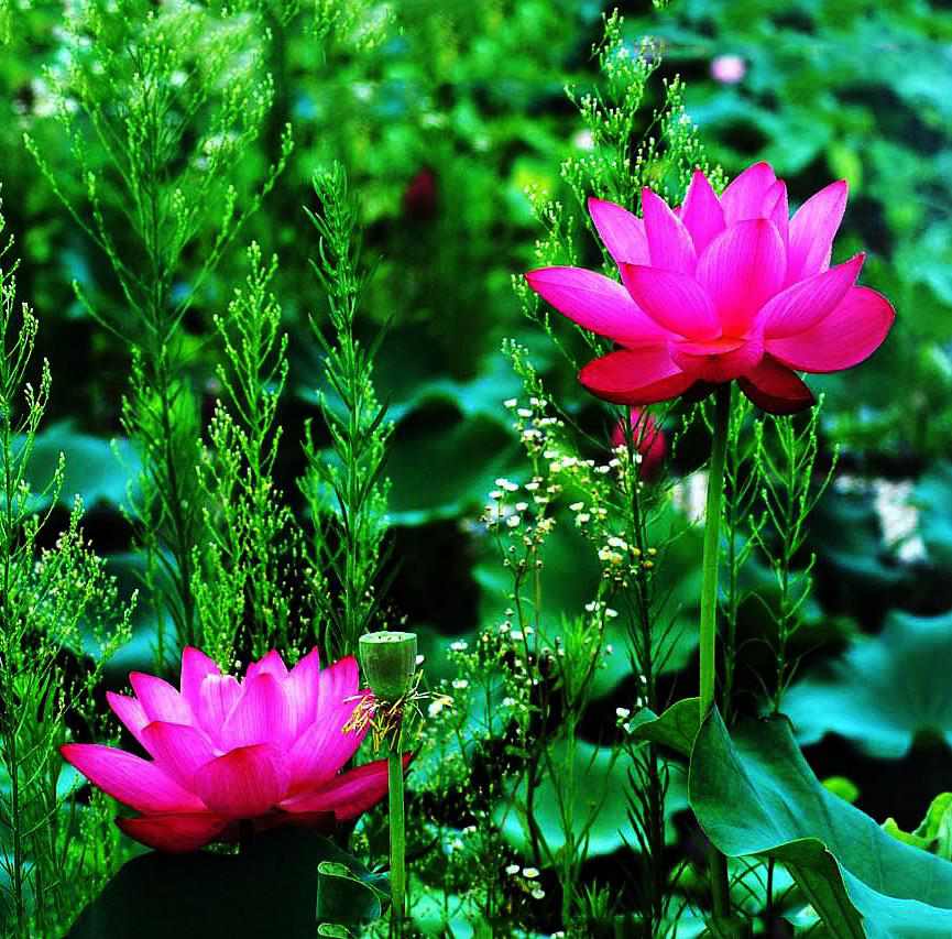  DSC_0092_conew1_.jpg