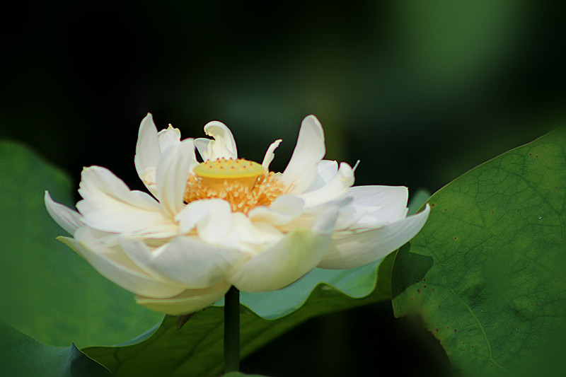 IMG_0713_副本.jpg