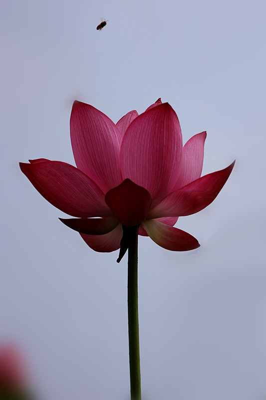 IMG_0773_副本.jpg