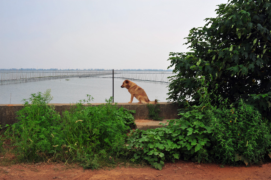 LCL_3618.JPG