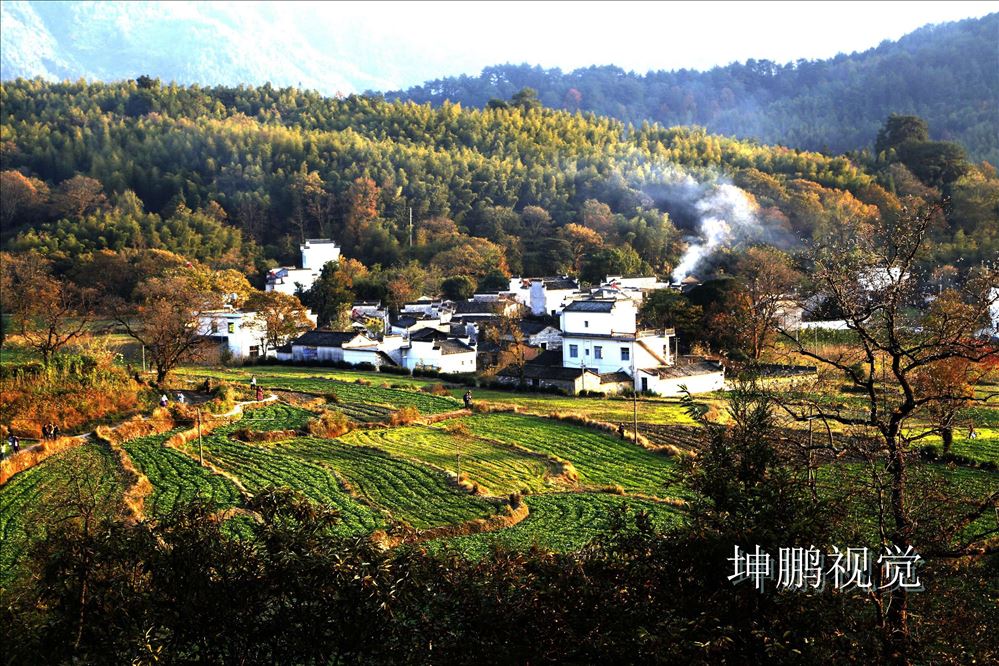 QQ图片20141118182149.jpg