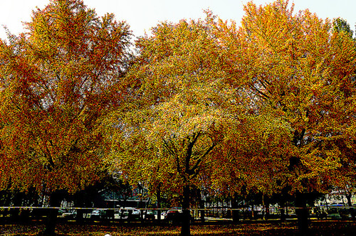 DSC06209_副本_副本.jpg