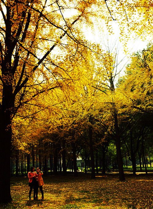 DSC06227_副本_副本.jpg