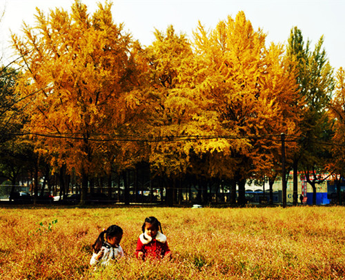 DSC06251_副本_副本.jpg