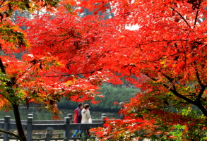 DPP_000631.JPG