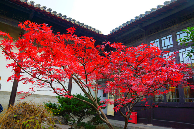 DSC06660_.jpg