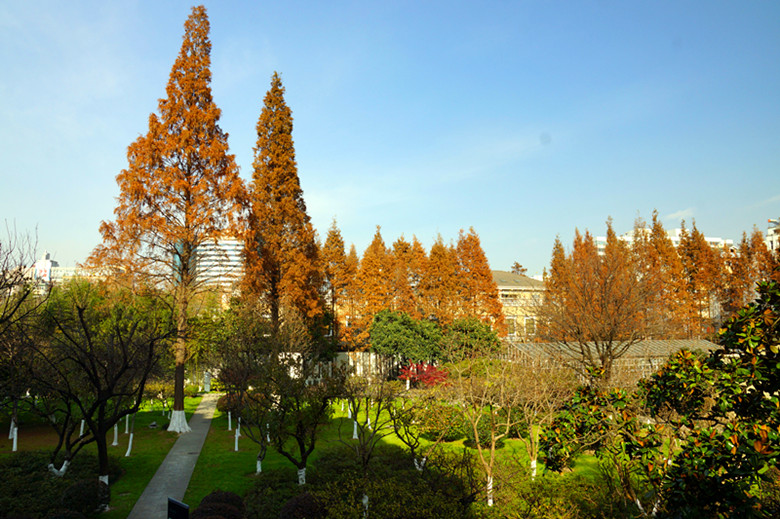 DSC06683_.jpg