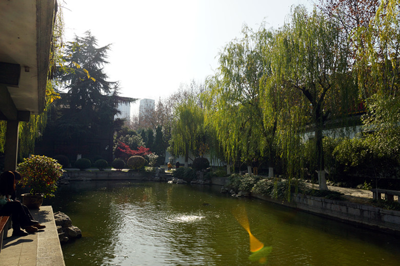 DSC06701_.jpg