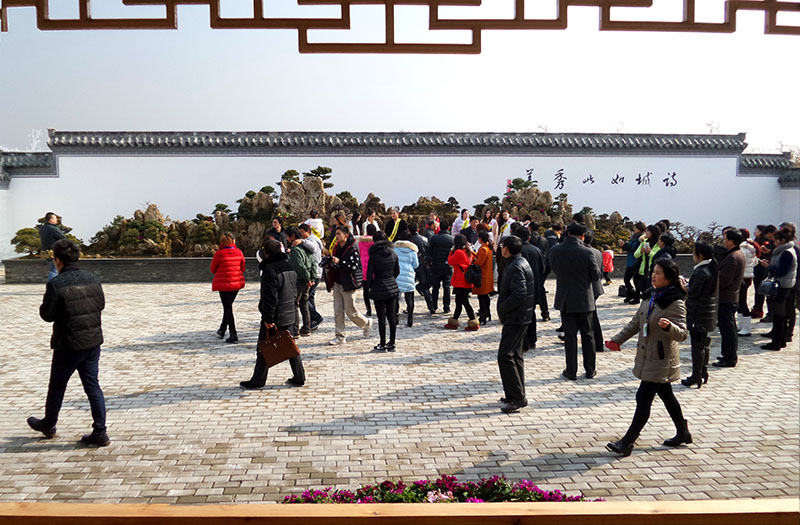 20150121_111250副本.jpg
