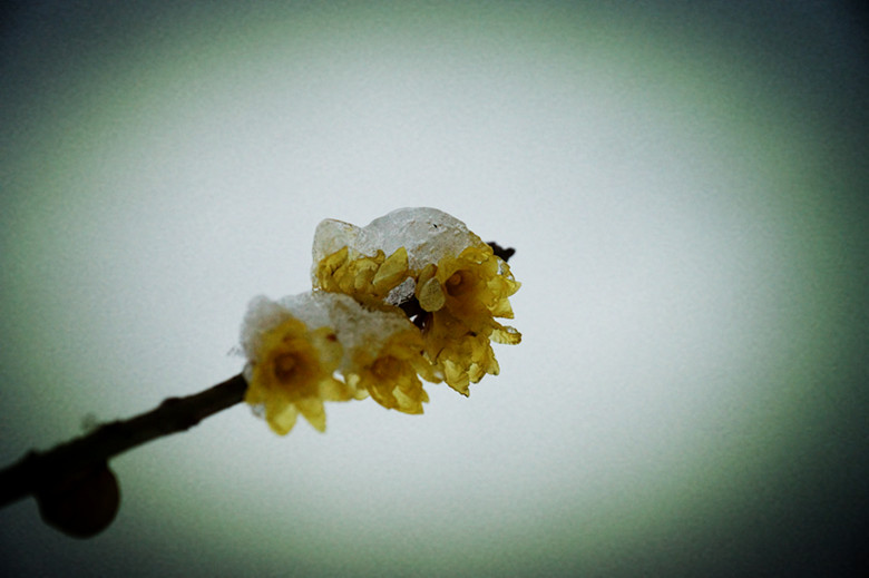 DSC06999_.jpg