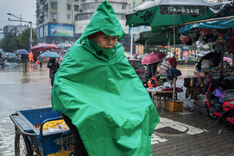 DSC08975.jpg