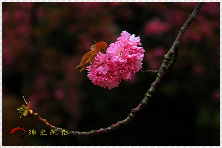 QQ图片20150405232134.jpg