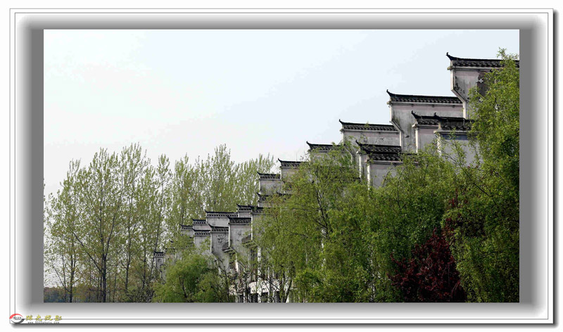 IMG_5425_副本.jpg