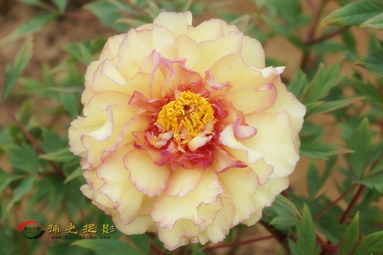 DSC02176_.jpg