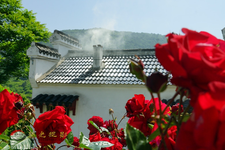 DSC01030_.jpg