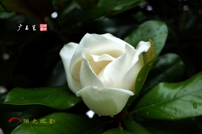 R000026444副本.jpg