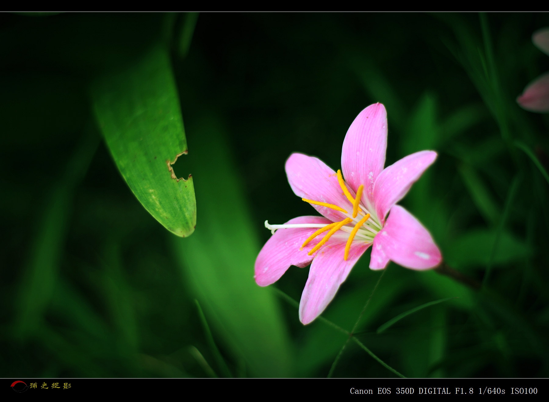 IMG_0010_副本.jpg