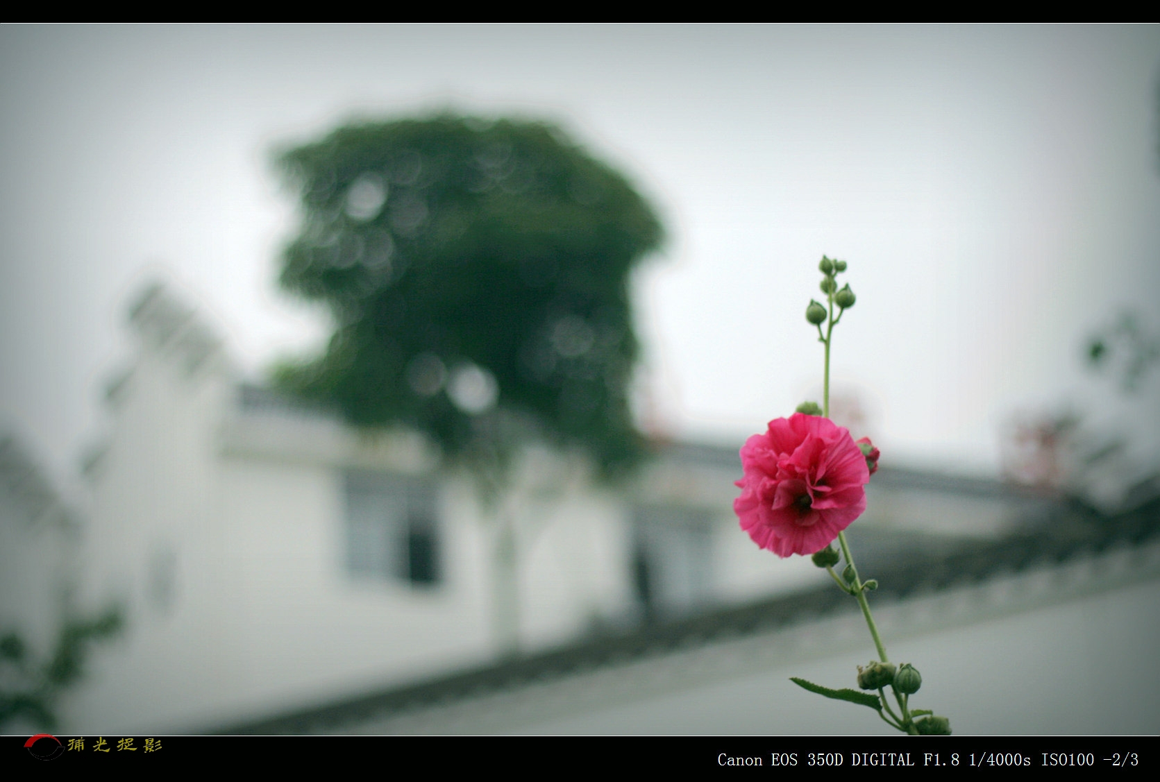 IMG_0026_副本.jpg