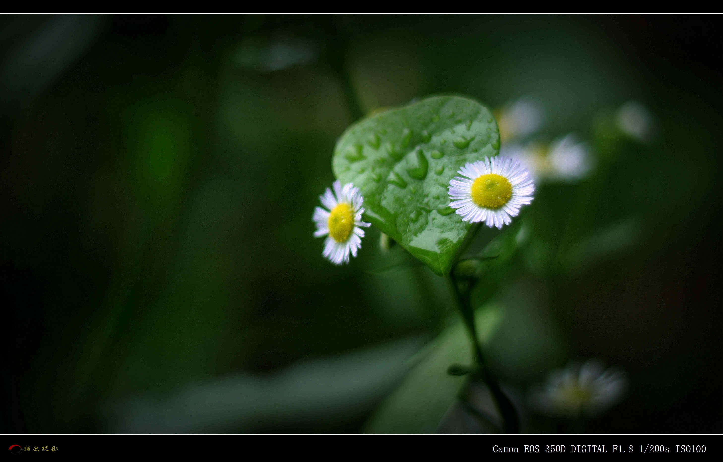 IMG_0058_副本.jpg