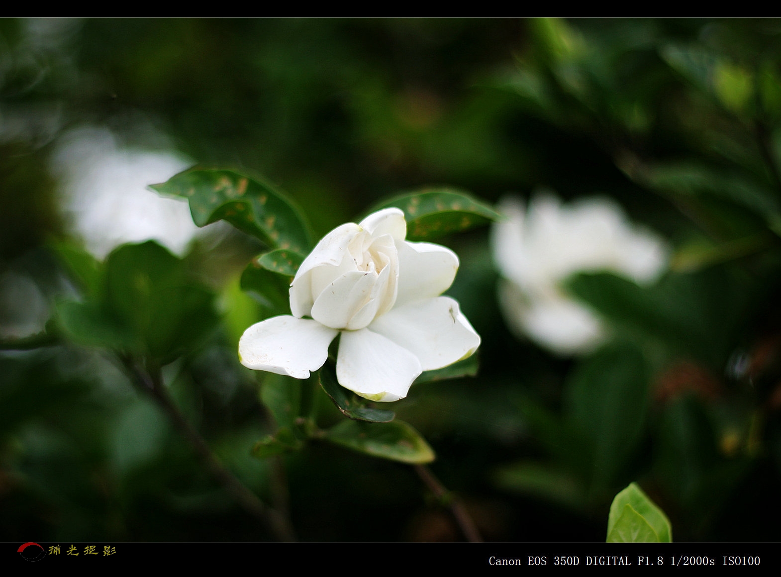 IMG_0180_副本.jpg