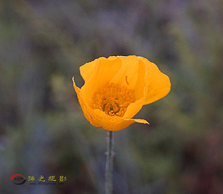 DSC01990_.jpg
