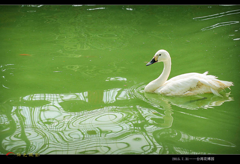 IMG_0035_副本.jpg
