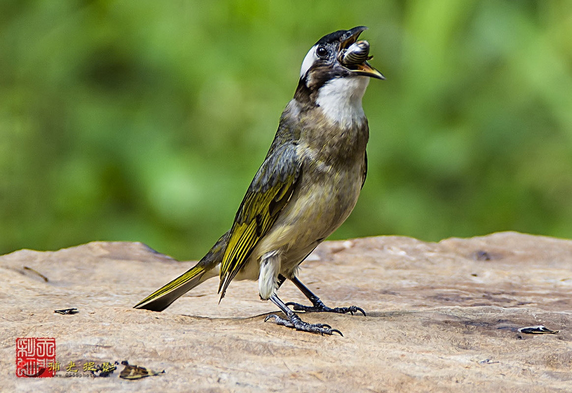 DSC_6967.jpg