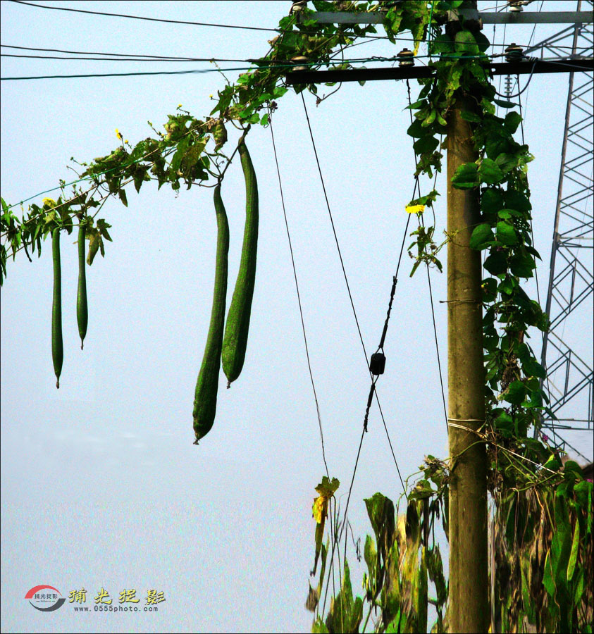 无高不可攀22.jpg