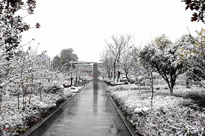 20160121080400_IMG_0782_副本.jpg