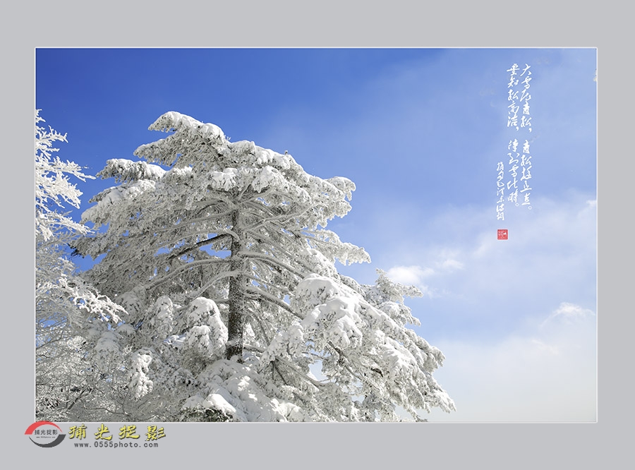 _D4A8850.jpg