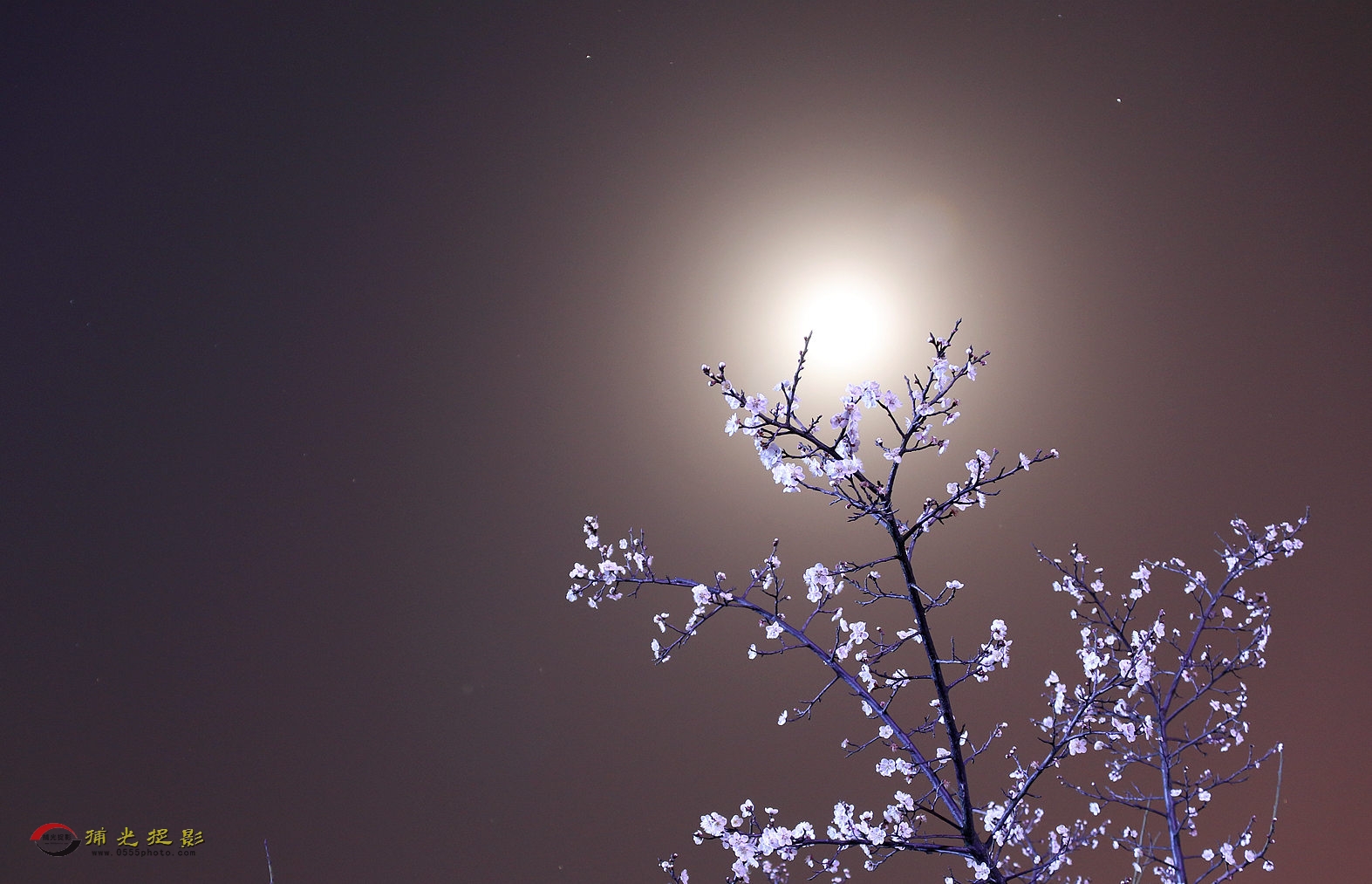 IMG_1272_副本.jpg