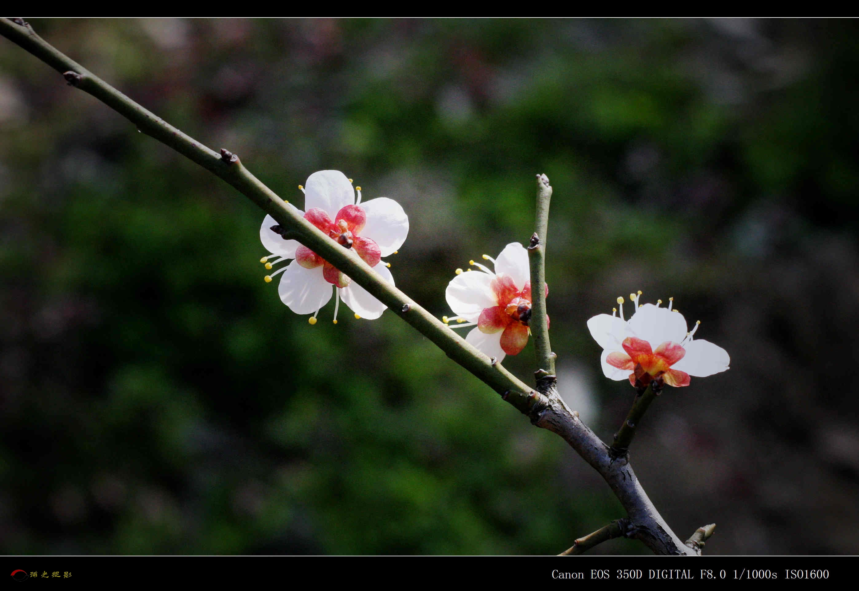 IMG_0243_副本.jpg
